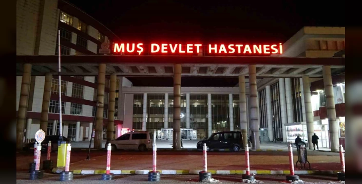 Muş'ta kene vakası: KKKA hastalığına yakalanan kadın tedavi edildi