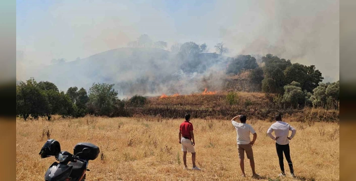 Nazilli'de tarla yangını: Aydın ve Muğla ekiplerinin ortak çalışmasıyla söndürüldü