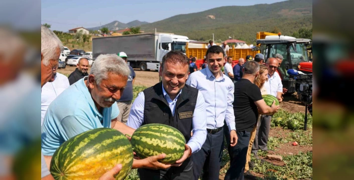 Osmaneli karpuzu üreticisi: Tarlada 1 lira, markette 10 lira