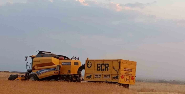 Patnos'ta Buğday Hasadı: Kuraklık, Çiftçileri Zorluyor