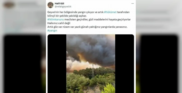 Sakarya yangınları: Yeniden Refah Partili Meclis Üyesi serbest bırakıldı