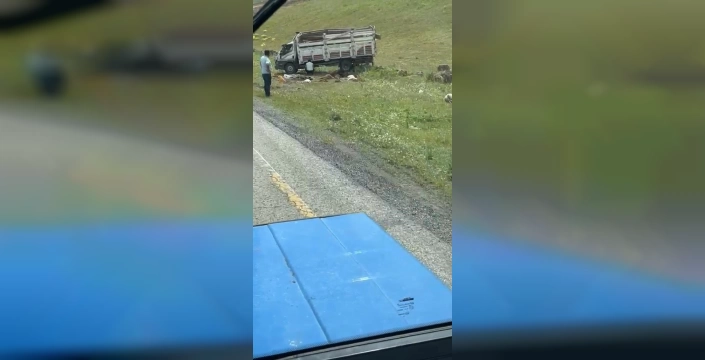 Sarıkamış'ta Kamyonet Kazası: 17 Hayvan Telef Oldu, 2 Yaralı