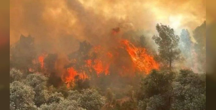 Seyitgazi'de Orman Yangını Faciası: 11 Orman Emekçisi Şehit Oldu