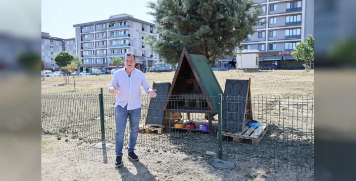 Silivri'de Sokak Kedileri İçin Yeni Yuvalar