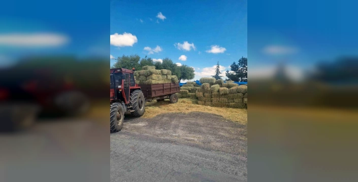 Talas Belediyesi'nden Yerel Üreticiye Destek: 20 Ton Yem Bitkisi Dağıtıldı