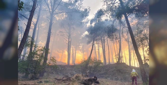 Tarsus'ta 8 Orman Yangını: 1 Şüpheli Tutuklandı