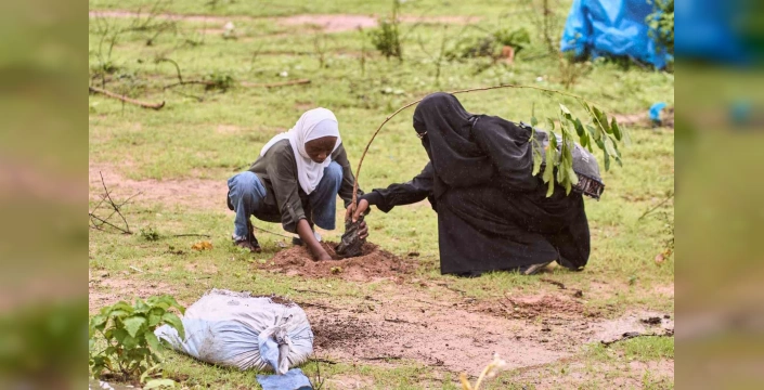 TİKA, Gambiya Üniversitesi'nde ağaçlandırma projesi başlattı