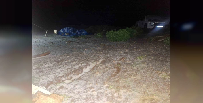 Tunceli'de temmuz karı: Yaylacılar olumsuz etkilendi