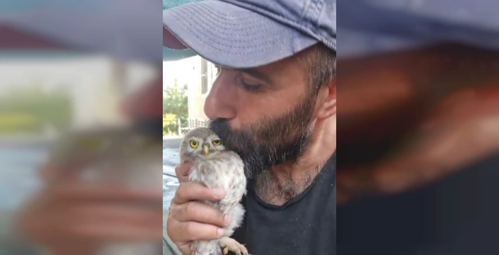 Tunceli'de yavru baykuş: Doğaya dönüşün dokunaklı hikayesi