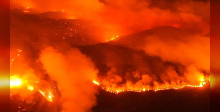 Türkiye'nin dört bir yanında yangınlar: Doğu Anadolu'da da tehlike çanları