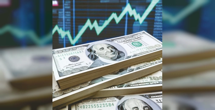 Türkiye'ye UDY girişi 4,7 milyar doları aştı
