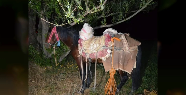 Van'da İran'dan Getirilen 97 Kilogram Skunk Ele Geçirildi