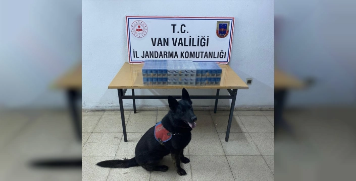 Van'da kaçakçılık operasyonu: 10 şüpheli yakalandı