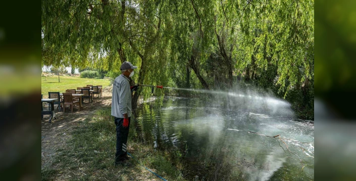 Van'da Sağlık Mücadelesi: Kent Zararlılarıyla 7/24 Savaş
