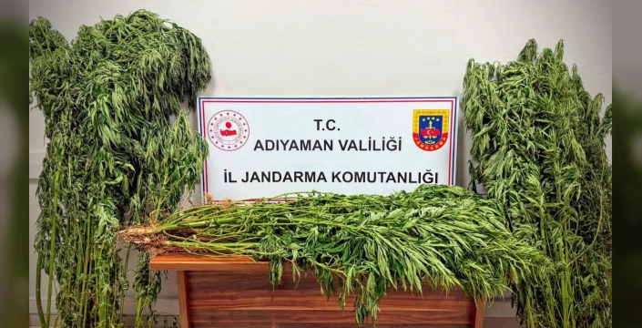 Adıyaman'da uyuşturucu operasyonu: 9 gözaltı