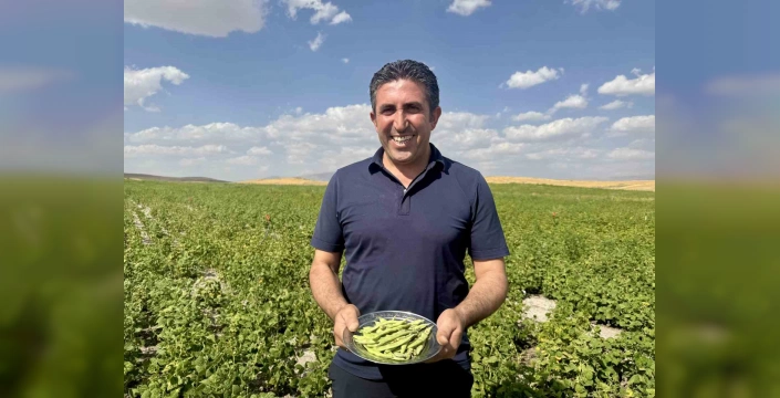 Ağrı'da çiftçilere kuru fasulye tohumu dağıtımı