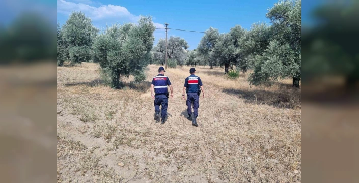 Aydın'da Orman Yangını Önleme Denetimleri: Jandarma, Havadan ve Karadan Gözetimde