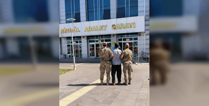 Bingöl'de iki şüpheli yakalandı