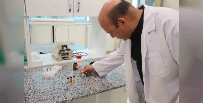 Bolu'da beyin kanseri tedavisinde devrim: Yeni nano molekül geliştirildi