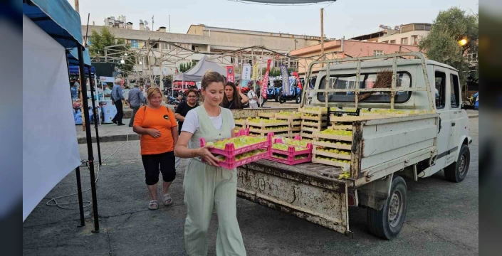 Buharkent’te Taze İncir Festivali: Bir ton incir dağıtıldı, Canan Karatay’a davet