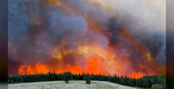 Çanakkale ve Soma'da orman yangınları: Binlerce kişi tahliye edildi