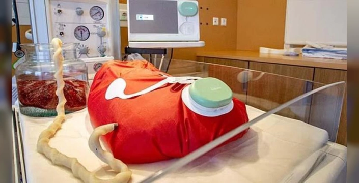 Çin'de hamile robot: Bebeği baştan sona taşıyacak