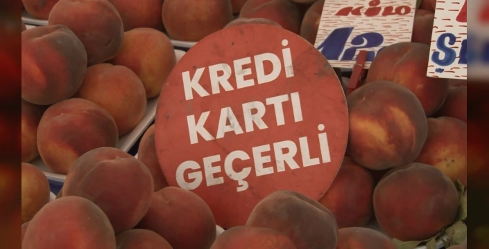 Dr. Elif Kaya: Semt pazarlarında POS cihazı kullanımı artmalı