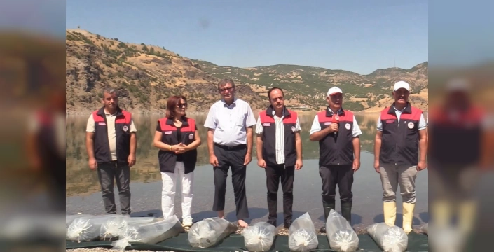 Elazığ'a 5 milyon yavru sazan bırakılacak