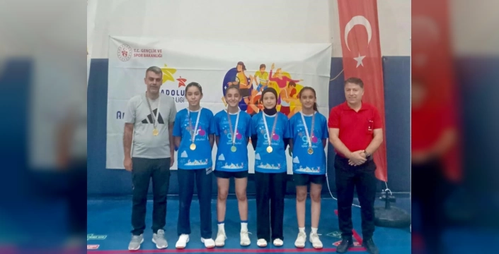 Elazığ badminton takımı Türkiye finallerinde