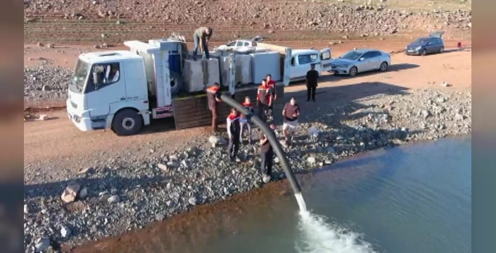 Erzincan'da 200 bin balık yavrusu suya bırakıldı