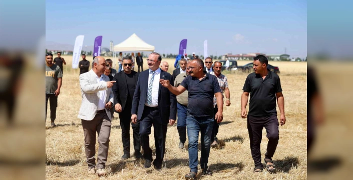 Erzurum'da bereketli hasat: Atatürk Üniversitesi'nin buğday üretimi