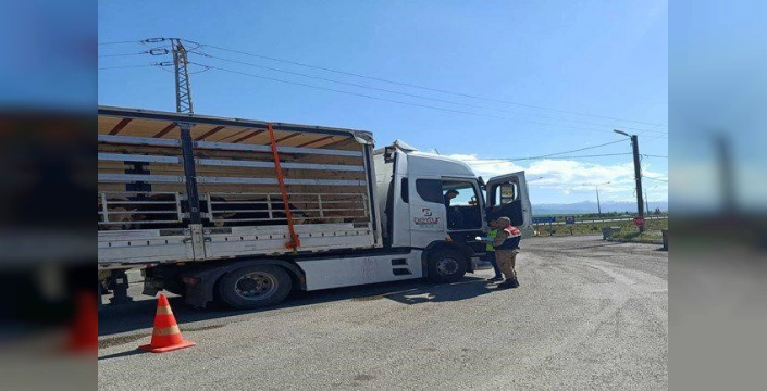 Erzurum'da düzensiz göçmen operasyonu: 24 göçmen yakalandı