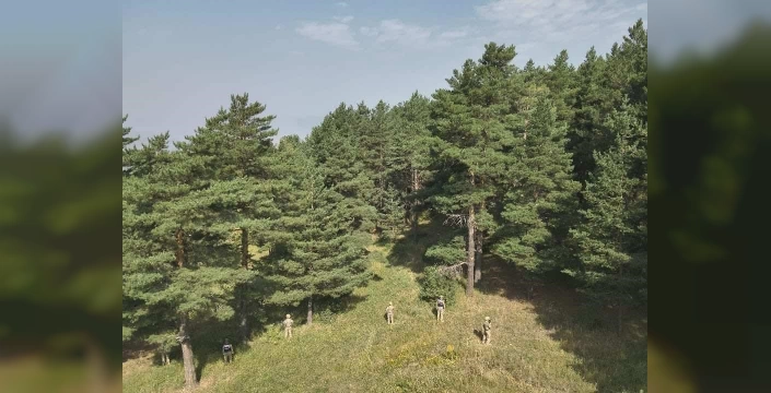 Erzurum'da orman yangını denetimleri: 5906 TL ceza
