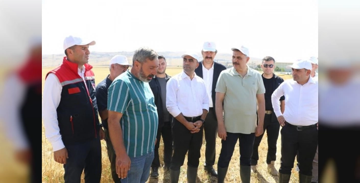 Erzurum'da tarım eğitimine destek: Öğrenciler 750 dönümde buğday hasadı gerçekleştirdi