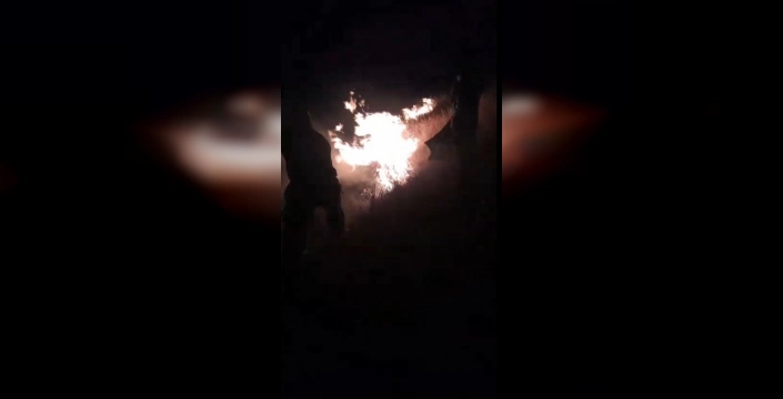 Kars'ın Selim ilçesinde anız yangını