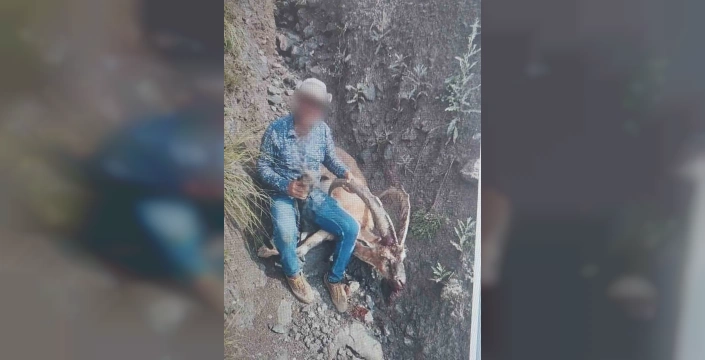 Kars'ta yaban keçisi avı: 658 bin lira ceza