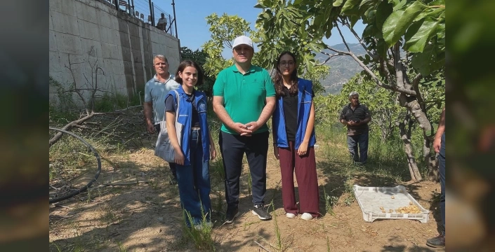 Köşk'te gönüllü hasat şenliği