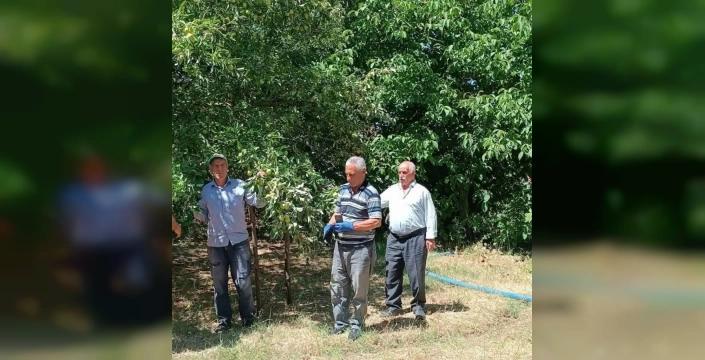 Kovancılar'da çiftçilere tarımsal destek