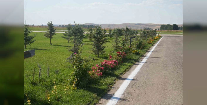 Malazgirt'te 1071 çiçek dikildi