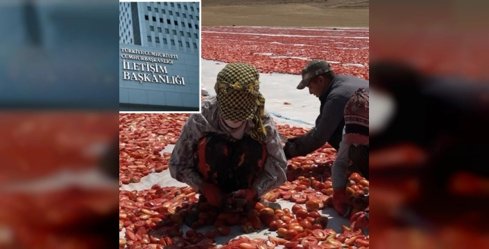 Mevsimlik Tarım İşçileri İçin Çok Yönlü Destek