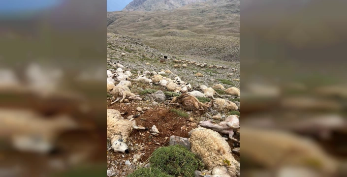 Tunceli'de yıldırım felaketi: 2 milyon TL'lik tazminat