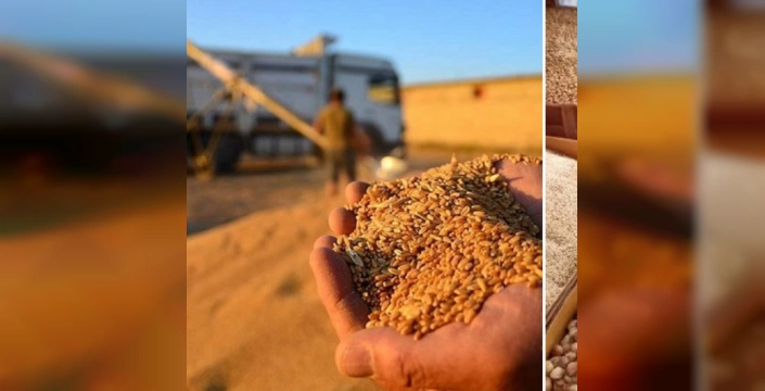 Türkiye'nin gıda ihracatı 7,1 milyar dolara ulaştı