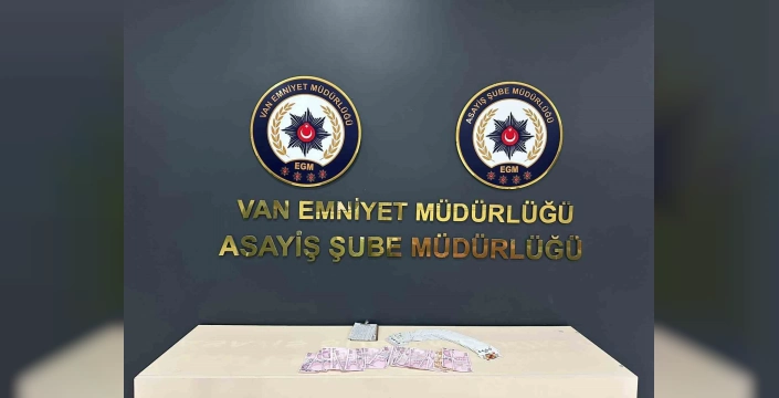 Van'da 110 kişi tutuklandı