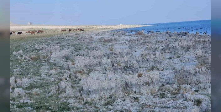 Van Gölü'nde kuraklık alarmı: Su seviyesi metrelerce çekildi