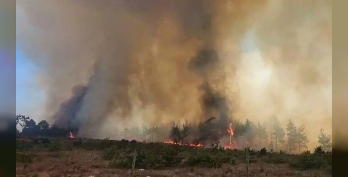 Yumaklı açıkladı: Çok sayıda ildeki orman yangınları kontrol altında
