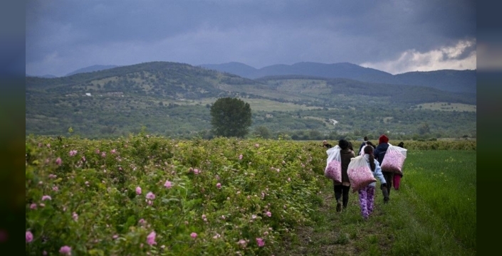 Avrupa'da yaşam beklentisi yükseliyor: Bulgaristan en düşükte