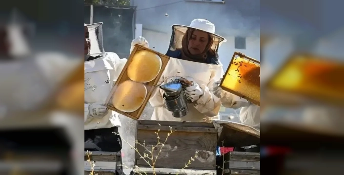 Bahçesaraylı kadınlar kara kovan balıyla markalaşıyor
