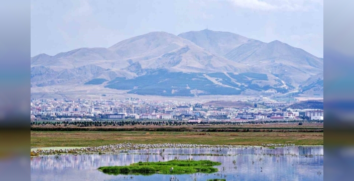 Beşeri sermaye endeksinde çanakkale zirvede, şırnak dipte