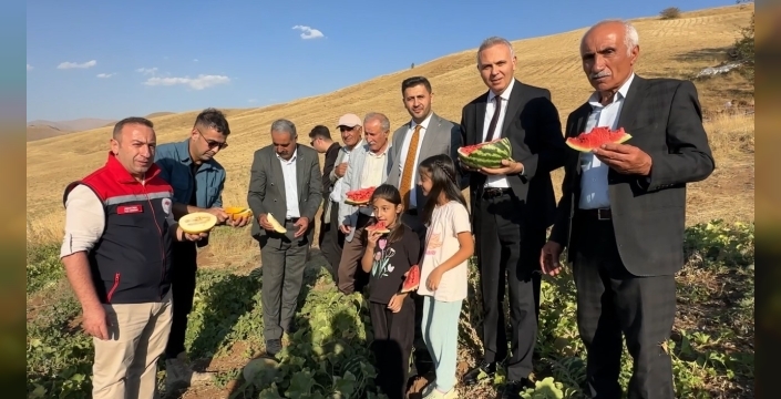 Demirkonak köyünde hasat başladı