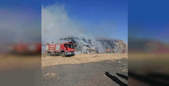 Derik'te mısır balyaları alevlere teslim oldu: Tanker de kullanılamaz hale geldi